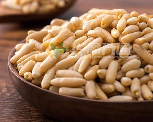 巴基斯坦松子脱壳成套设备 巴基斯坦松子脱壳成套设备